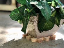 Load image into Gallery viewer, Trivets